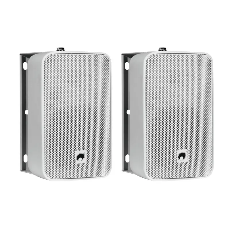 Omnitronic - ODP-204T Installation Speaker 100V white 2x